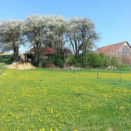 Apartament A-sissy-hof Billigangebot Bischofstetten